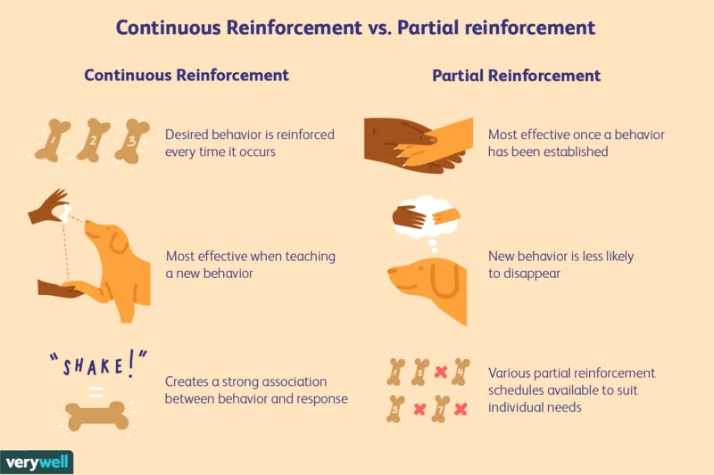 What is a schedule of reinforcement?