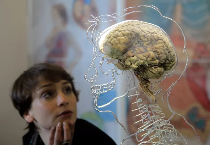 woman looking at human statue with brain