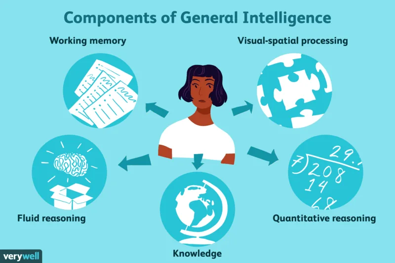 illustration of woman in the middle of components of general intelligence