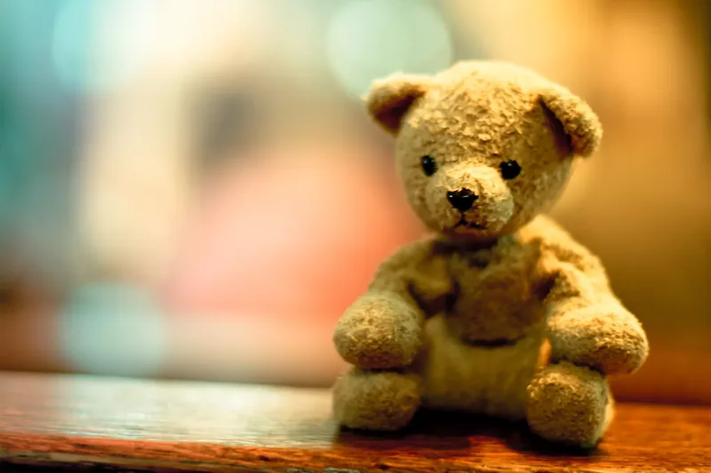 A melancholic teddy bear sits attentively and waits. And watches.