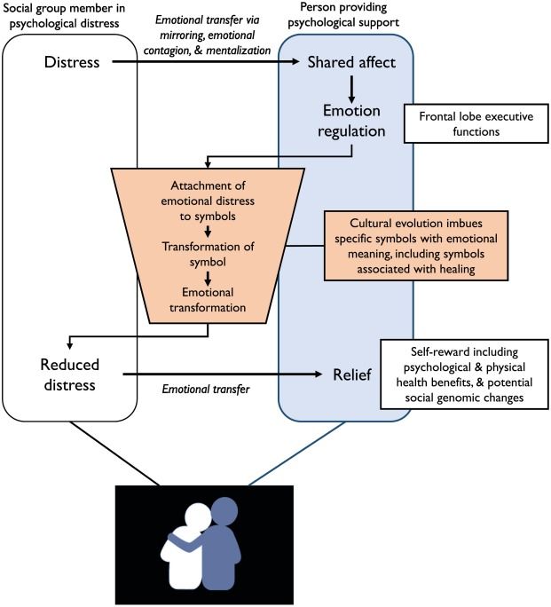 Kohrt, B. A., Ottman, K., Panter-Brick, C., Konner, M., & Patel, V. (2020). Why we heal: The evolution of psychological healing and implications for global mental health. Clinical Psychology Review, 82.