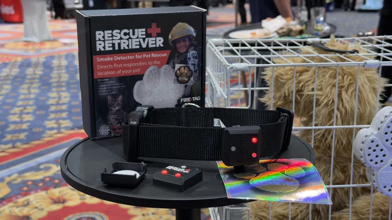 A small dog wearing a collar with a strobing Fire Tag, visible in a dimly lit, smoky room.