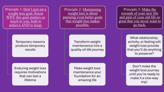 Figure 1. Principles 1-3