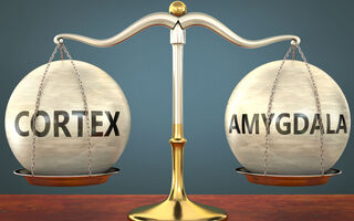 GoodIdeas/Shutterstock