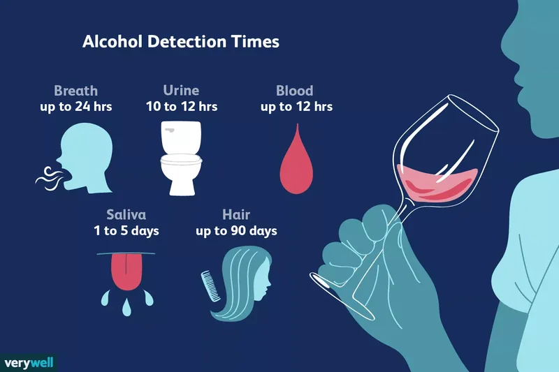 alcohol detection times