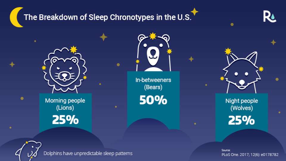 Sleep Chronotype Quiz